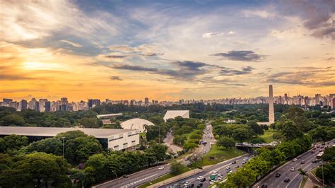  Parque Ibirapuera'nın Büyülü Yeşil Dünyası ve Canlı Sanat Çalışmaları!